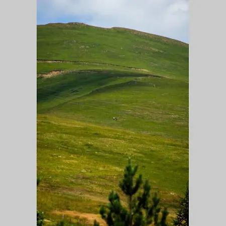 度假居 Mesto Za Odmor 兹拉蒂博尔